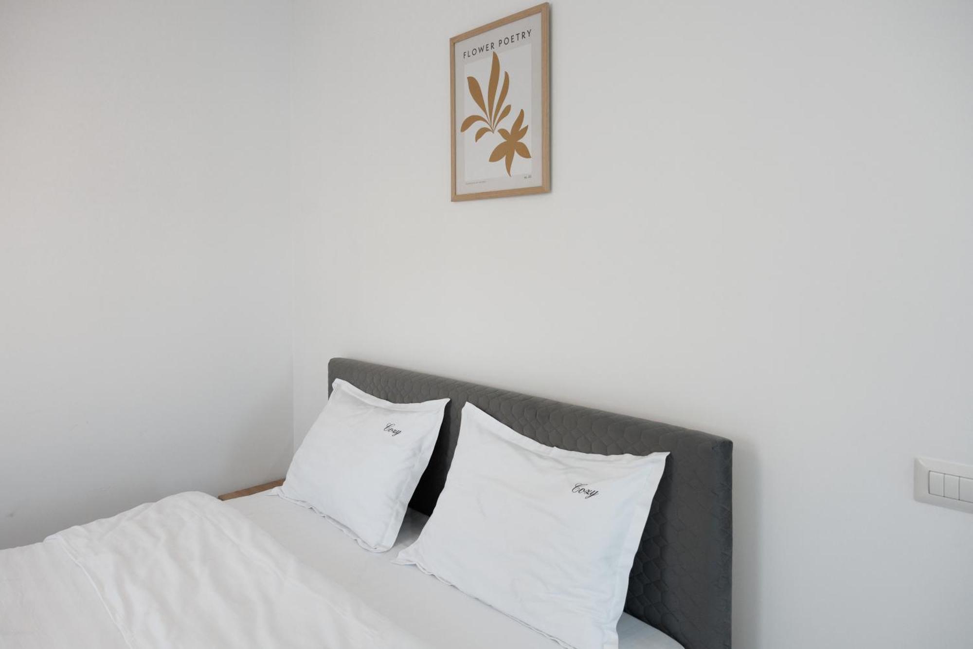 Exclusive Ultracentral Apartments And Studios #Enescu#Universitatii#Suczawa Zewnętrze zdjęcie