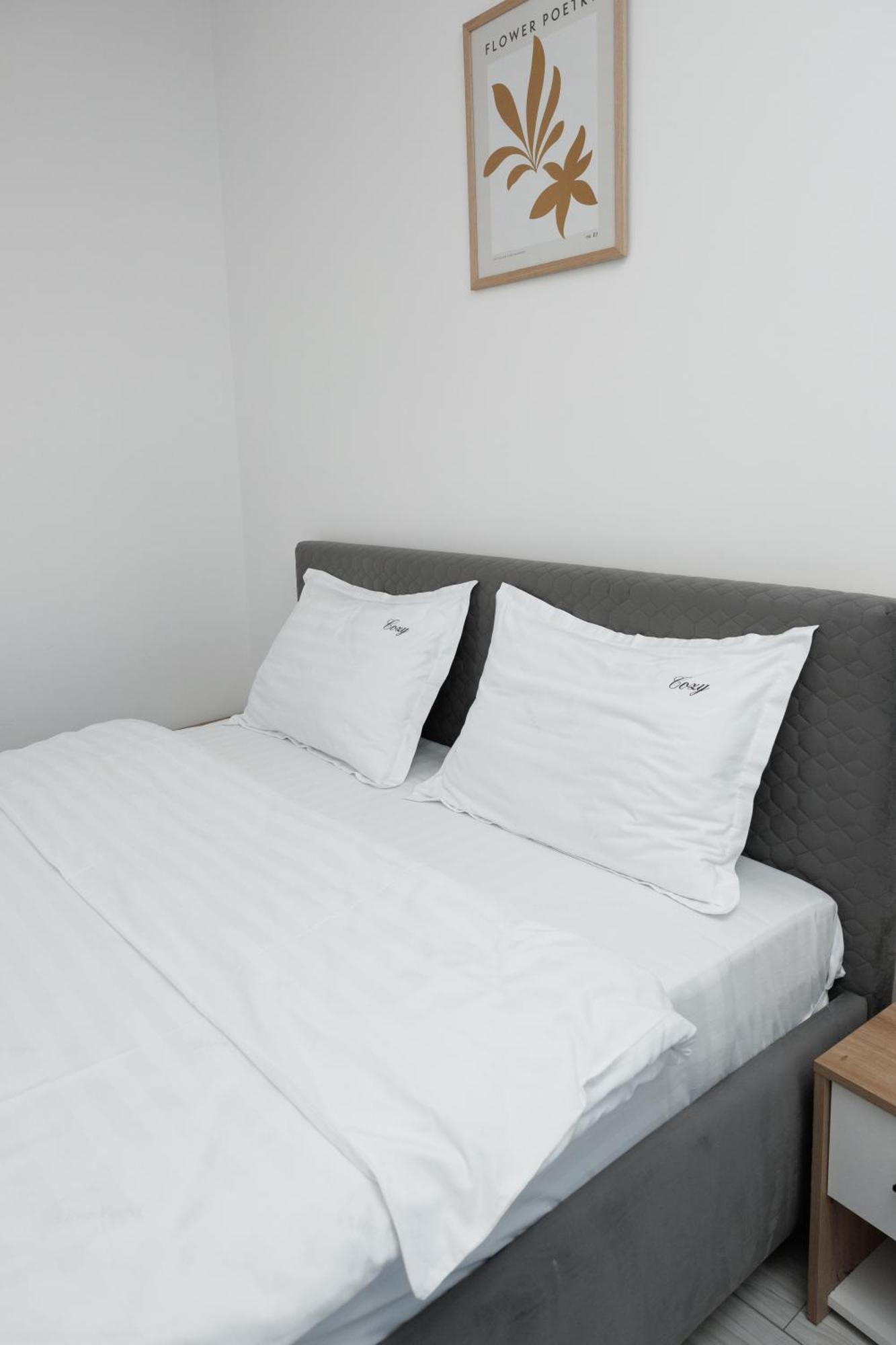 Exclusive Ultracentral Apartments And Studios #Enescu#Universitatii#Suczawa Zewnętrze zdjęcie